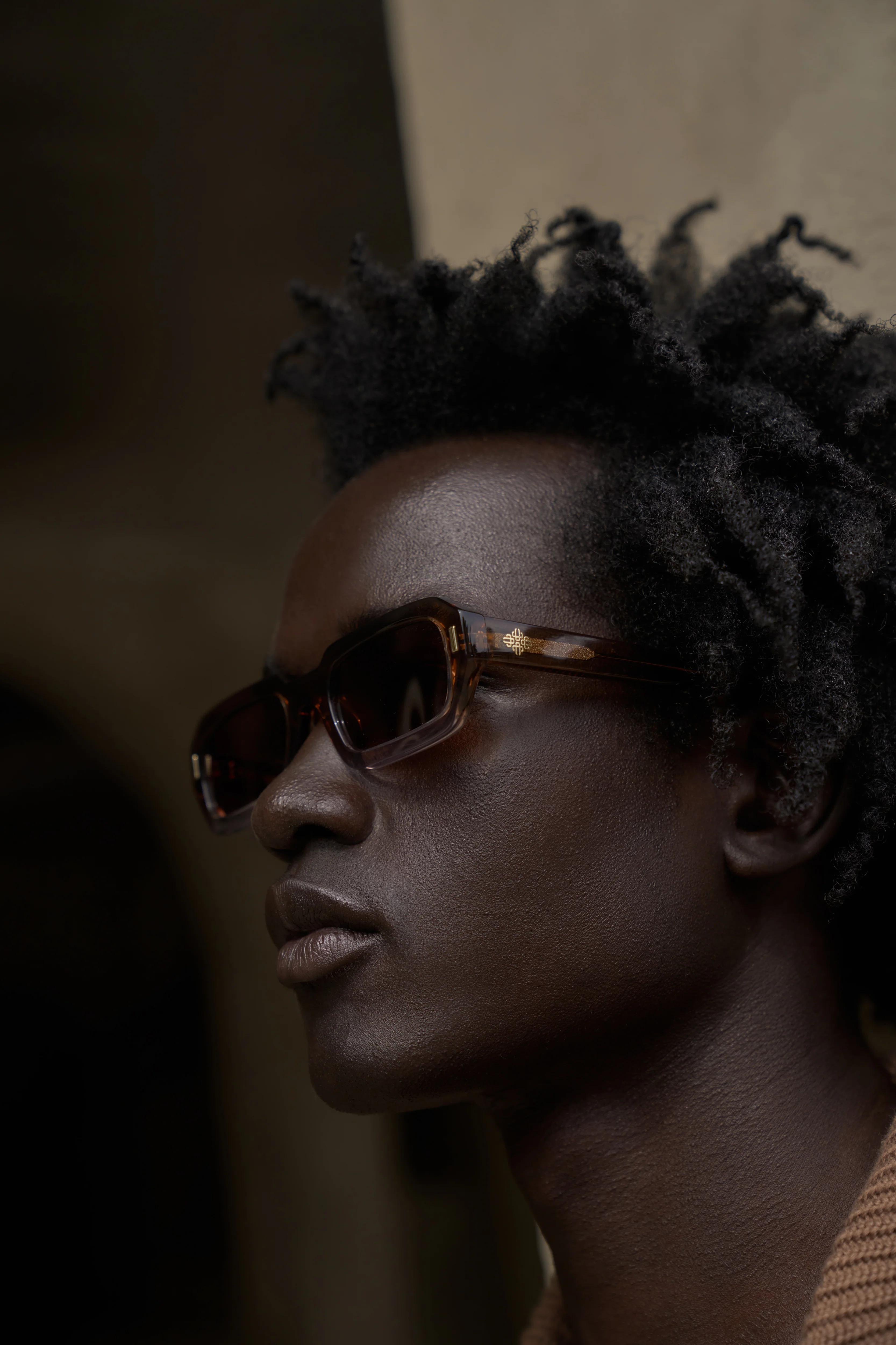 EMBLEM SUNGLASSES - BROWN - Image 4